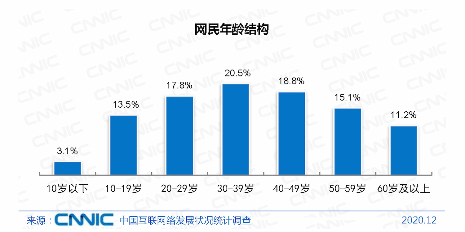 2020 年网民年龄结构（来源：《第 47 次中国互联网络发展状况统计报告》）